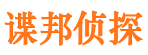 稻城市调查公司